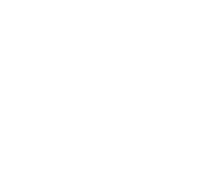Project Sufishint